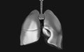 The HumanÃ¢â¬â¢s Lung Iron and Respiratory System